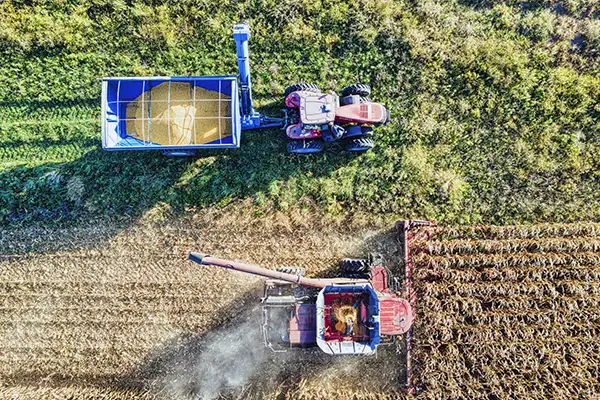 Farm workers covered by workers compensation for small business in Palm Bay, FL